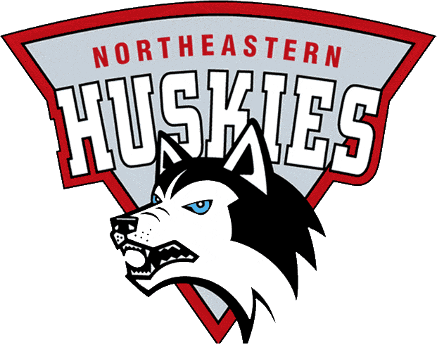 Northeastern Huskies 1992-2000 Primary Logo iron on transfers for clothing